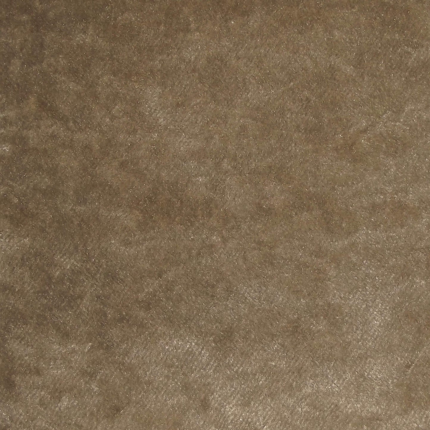 Ashbourne Plain Crushed Upholstery Velvet Lichen