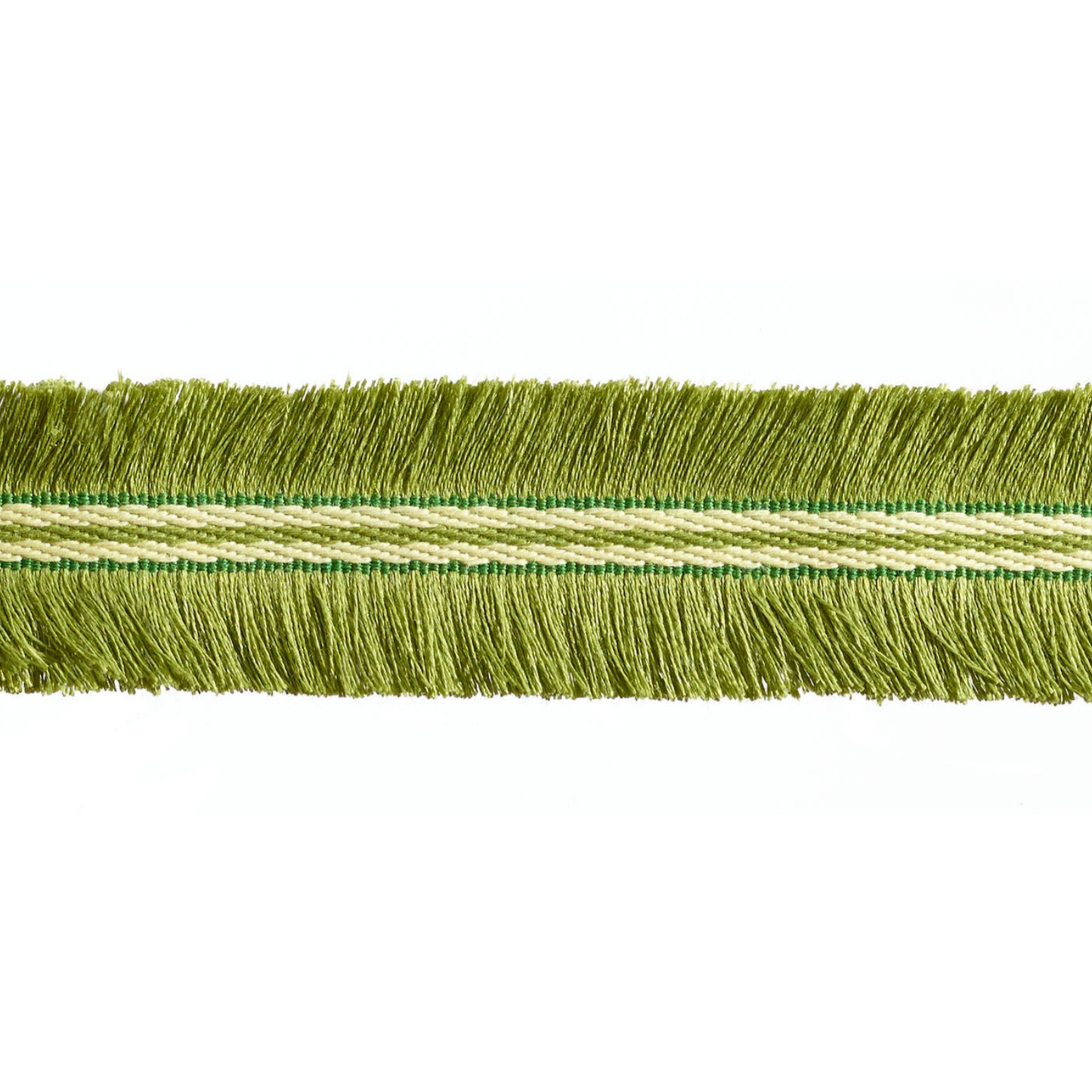 Green fringe trim on a white background