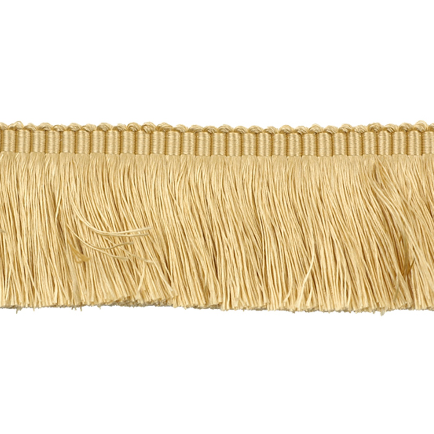 Gold fringe trim on a white background