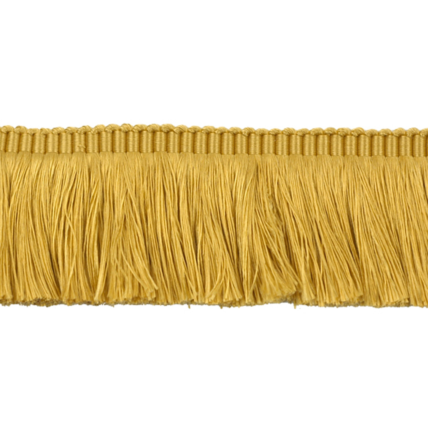 Gold fringe trim on a white background