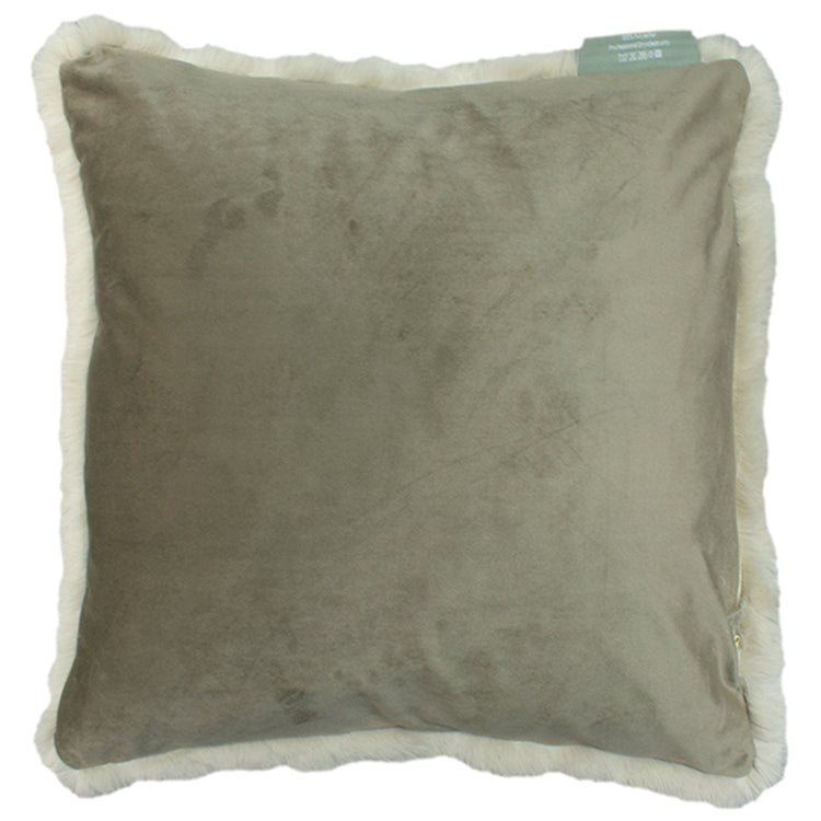 Alpine Oyster Cushion