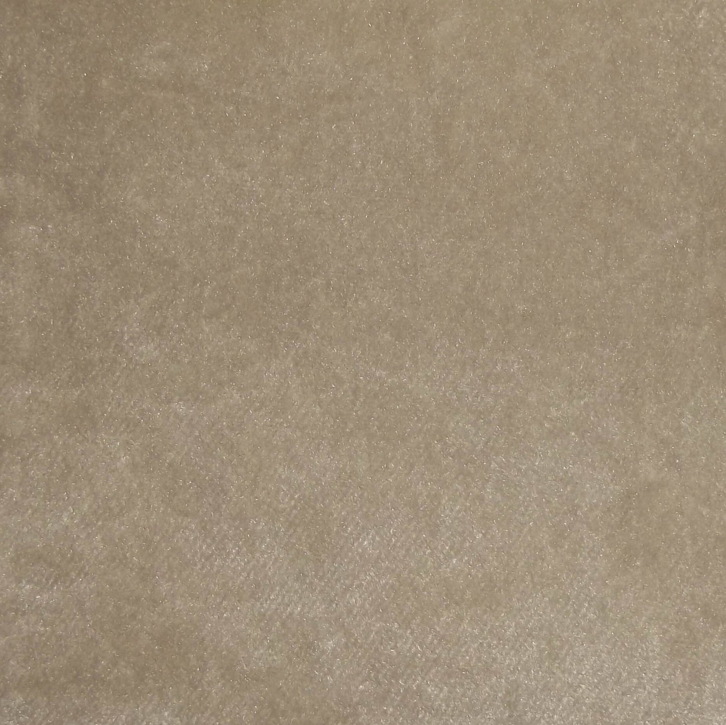 Ashbourne Plain Crushed Upholstery Velvet French Grey