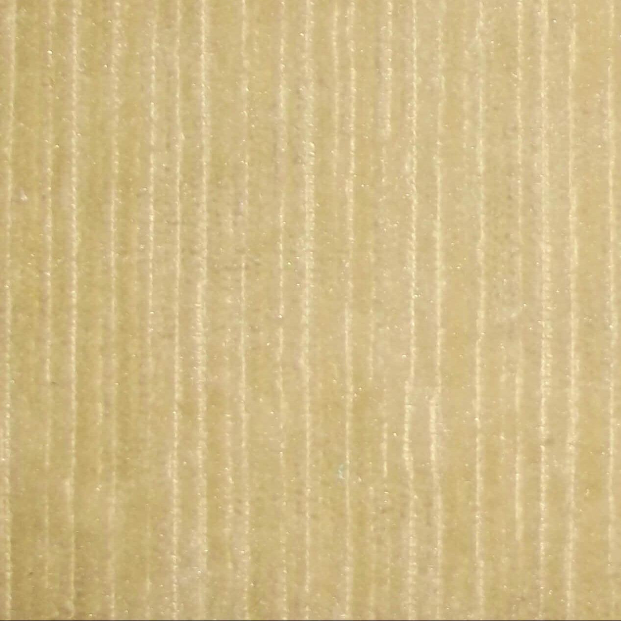 Ashbourne Ribbed Upholstery Velvet Ecru