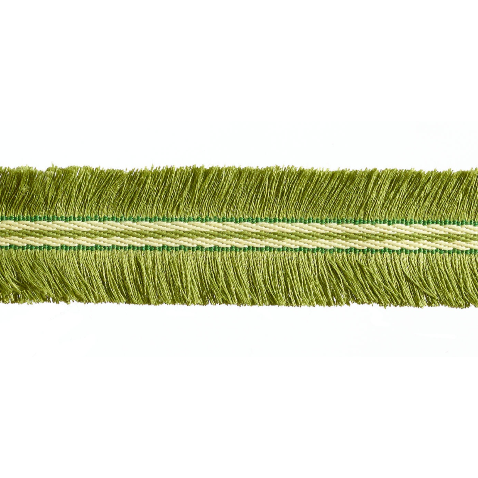 Green fringe trim on a white background