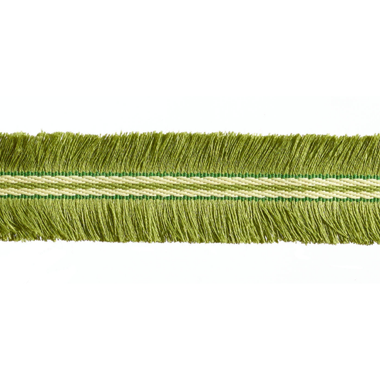 Green fringe trim on a white background
