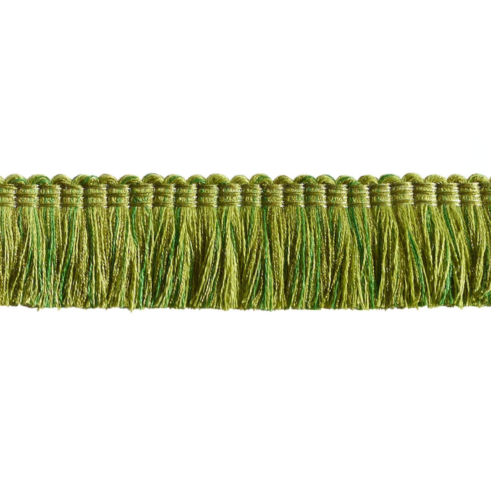 Green fringe trim on a white background