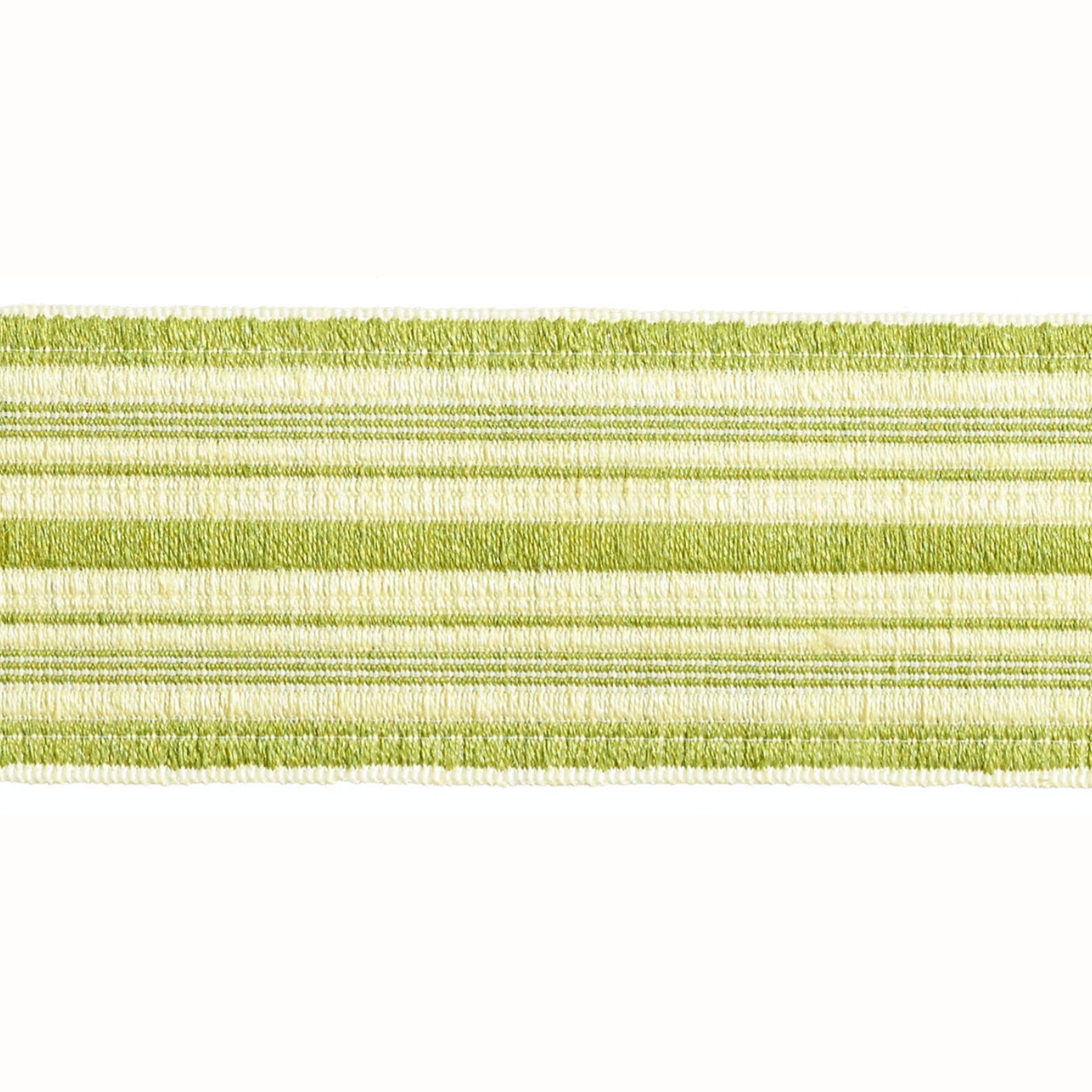 Baya Striped Border Braid 50mm Trim Pistachio