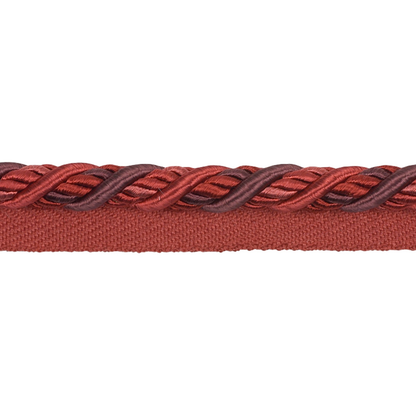 Close-up of a braided red and brown ribbon on a white background