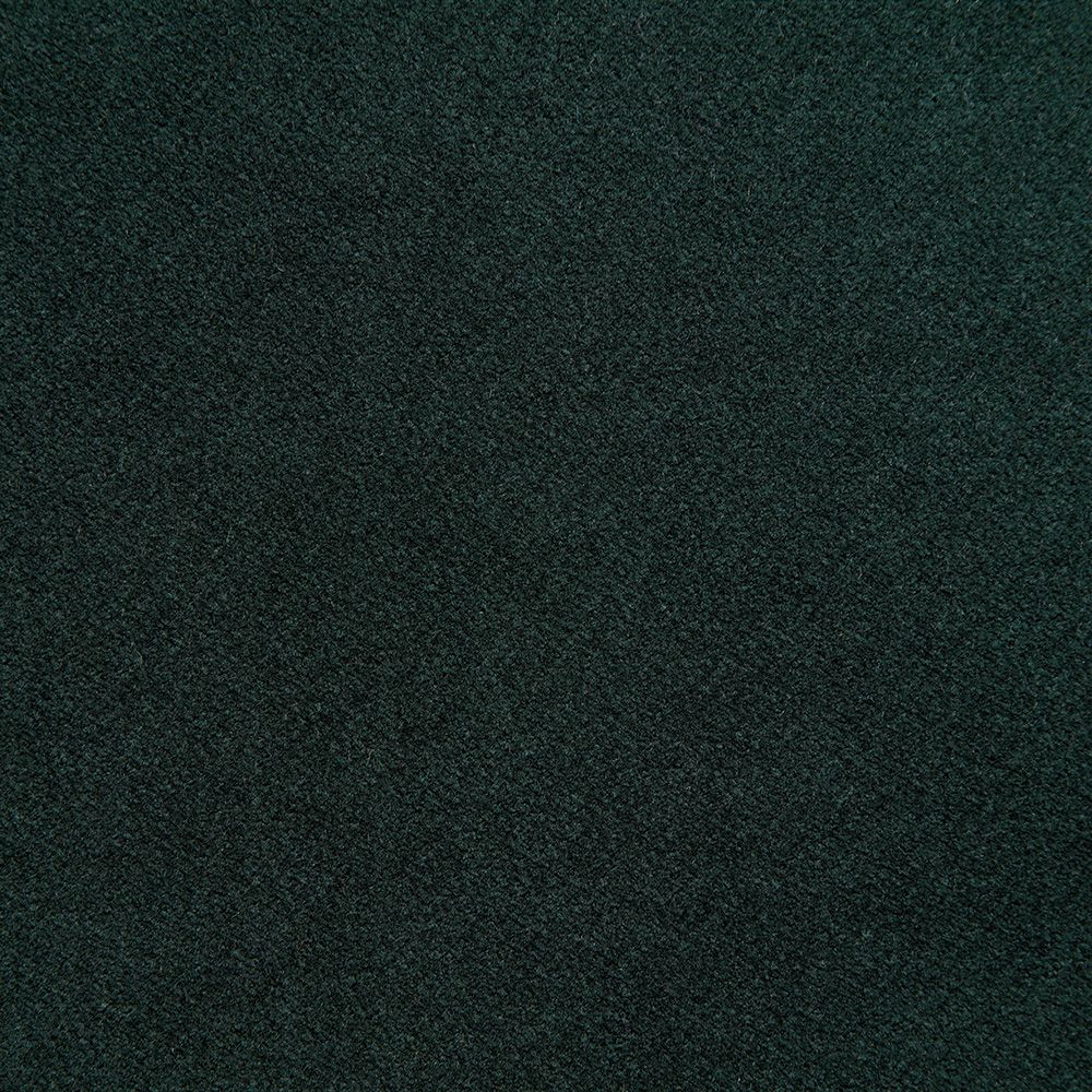 Close-up of Clerkenwell Contract Velvet Evergreen texture