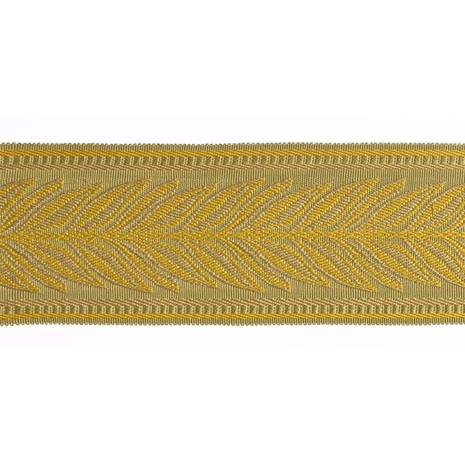 Gold flat braid trim with leaf pattern on a white background