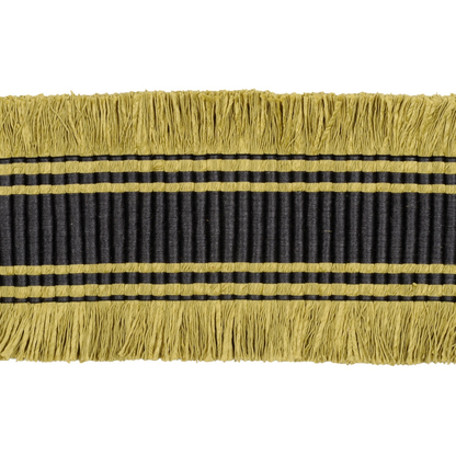 braid trim fringe on a white background