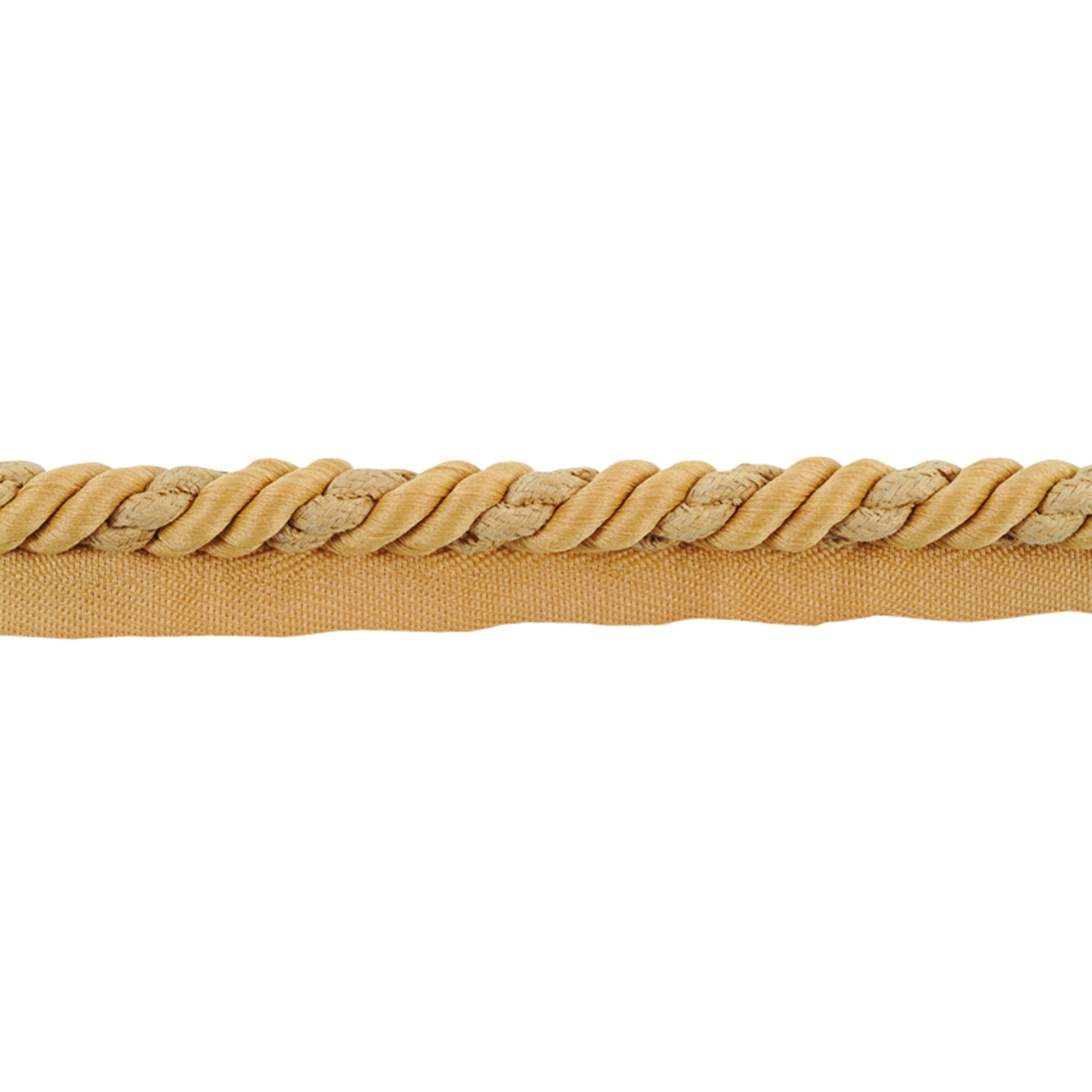 Beige braided piping cord on a white background