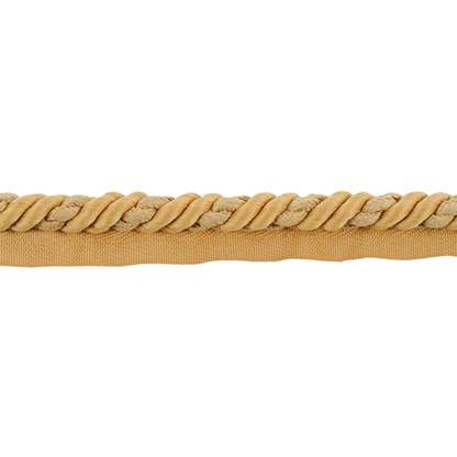 Beige braided piping cord on a white background