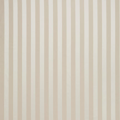 Renaissance Stripe Taupe