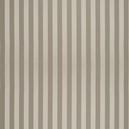 Renaissance Stripe Pewter